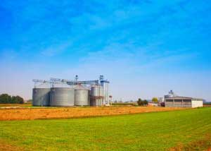 Biofuel_Crops