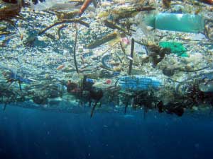 Young Leaders Get Serious About Stopping Plastic Landslide Into Oceans 1 Plastic_Landslide_Into_Ocean