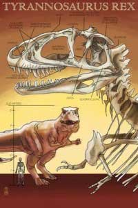 Lantern_Press_-_Tyrannosaurus_Rex_Facts