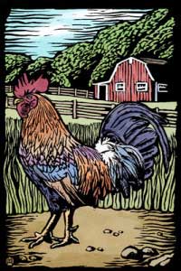 Rooster